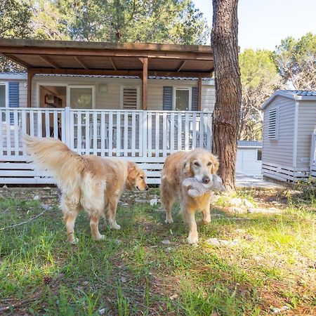 Mobile Homes Pine Sea บานโจเล ภายนอก รูปภาพ
